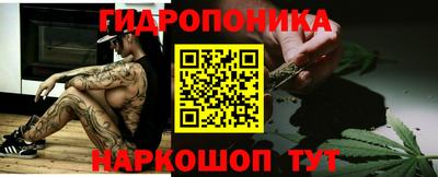 индика Комсомольск-на-Амуре