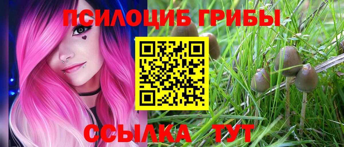 Марихуана  Кинель  Cocaine  Вход с VPN  Метамфетамин  Наркошоп  Меф МЯУ МЯУ   Гашиш 