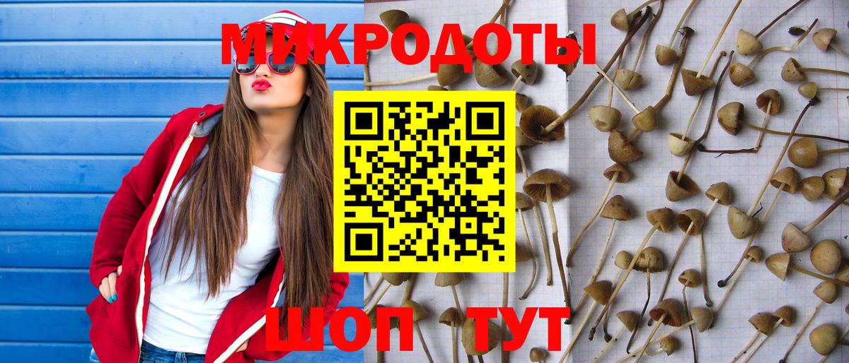 Кинель  Псилоцибиновые грибы мицелий  Вход с VPN  Псилоцибиновые грибы Cubensis 