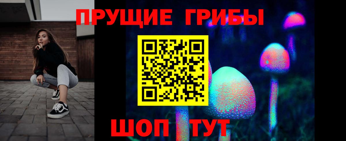 Галлюциногенные грибы GOLDEN TEACHER Кинель